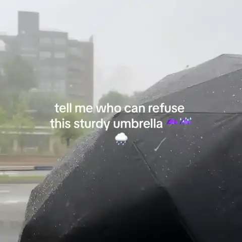 StormHook umbrella opening in the rain